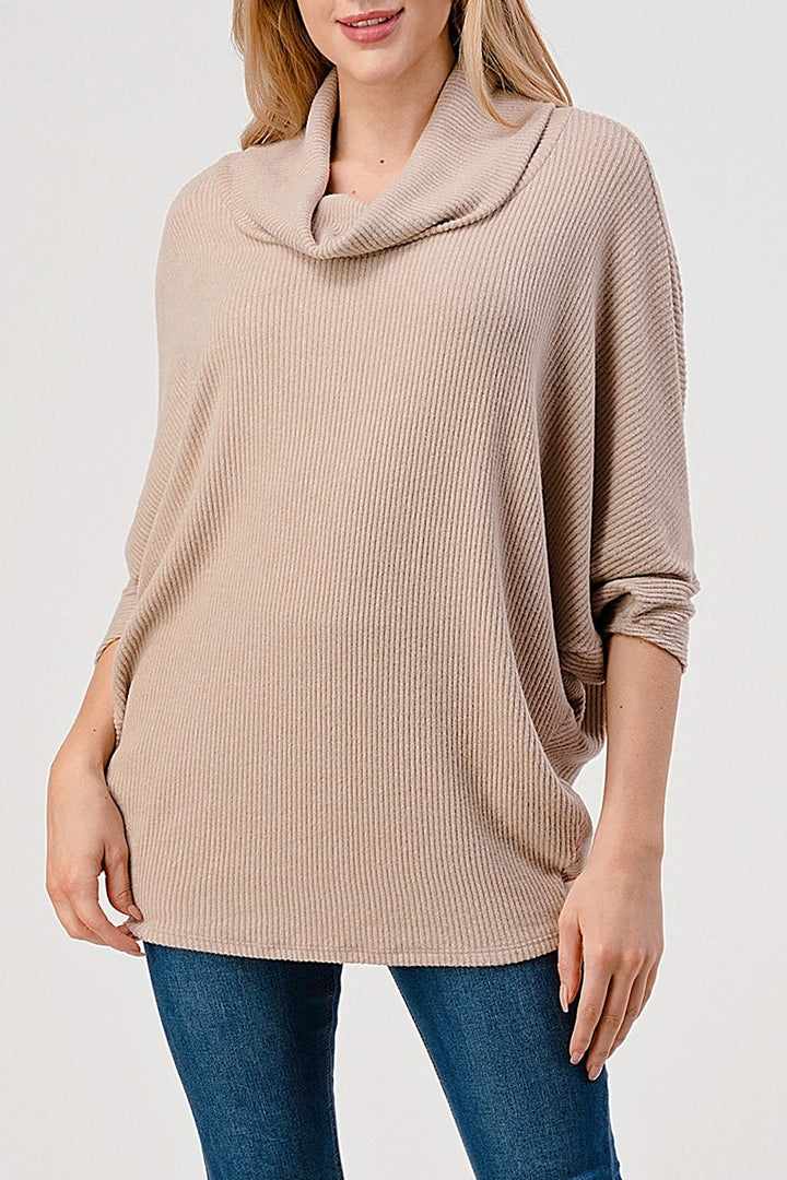 Natural Vibe Cowl Neck Sweater (Beige)