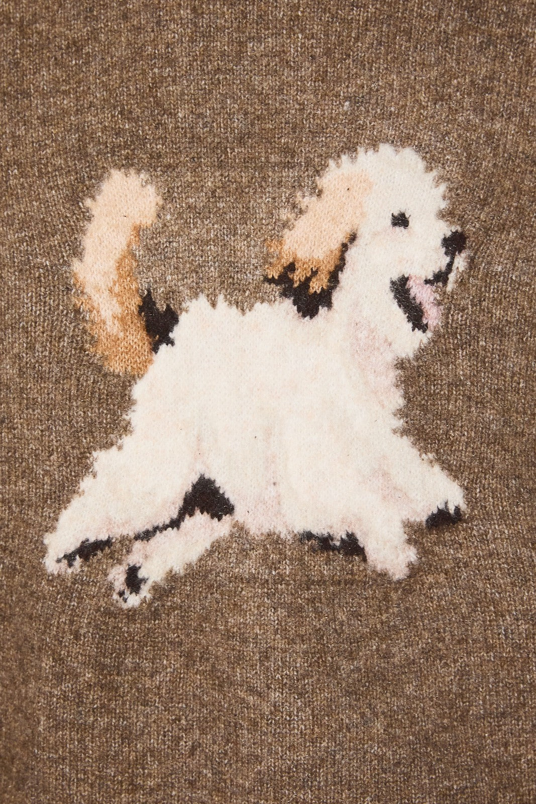 Le Lis Puppy Print Knit Sweater