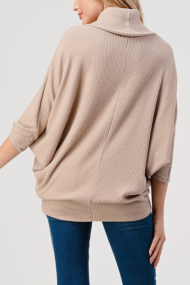 Natural Vibe Cowl Neck Sweater (Beige)