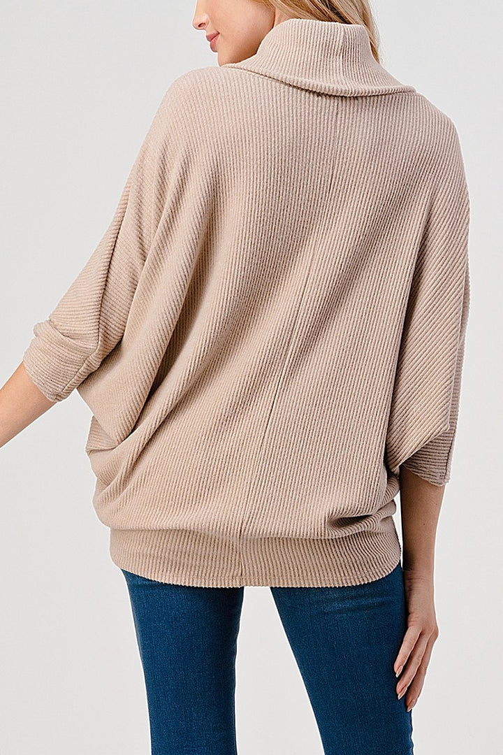 Natural Vibe Cowl Neck Sweater (Beige)