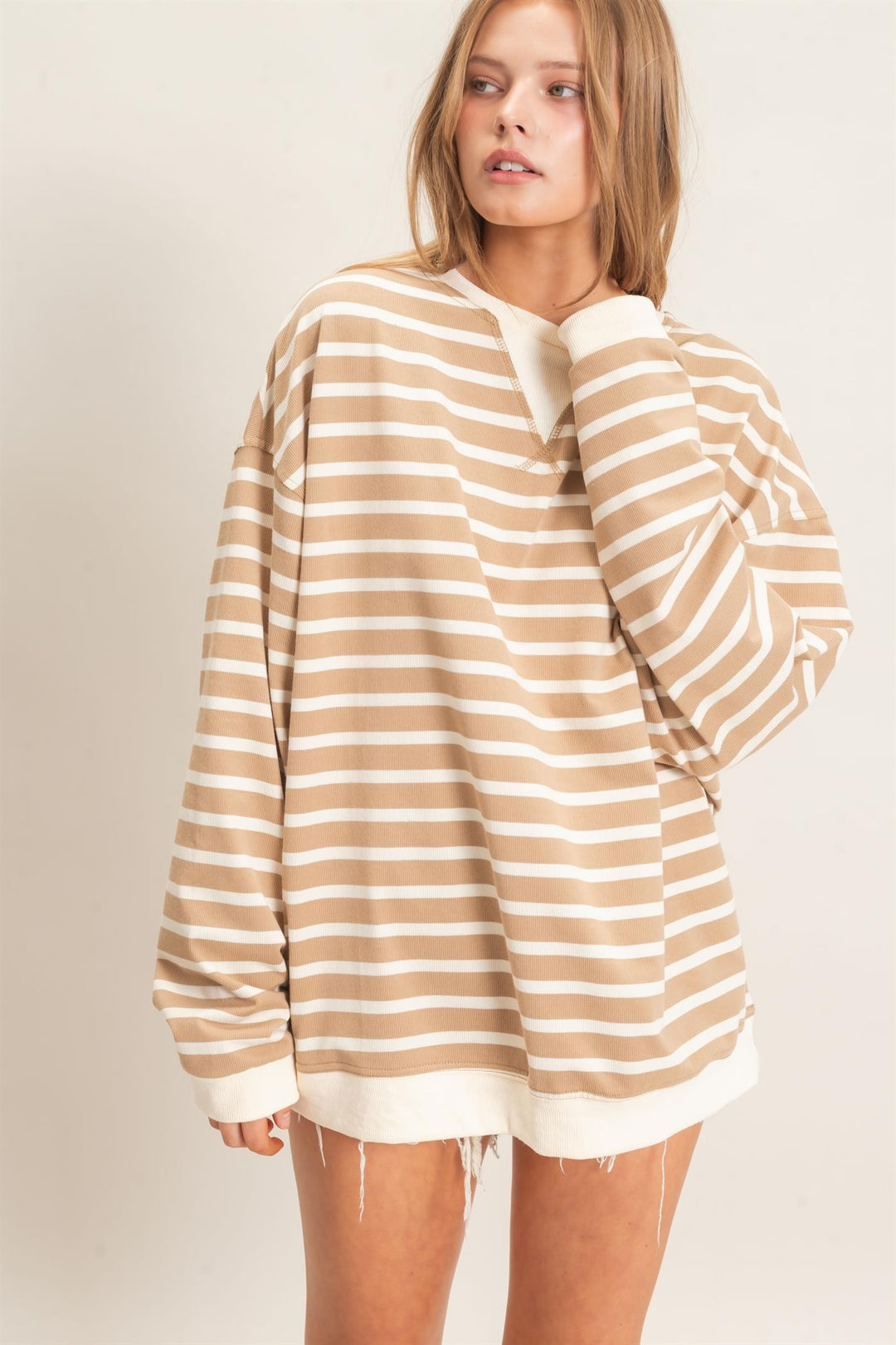 HYFVE Striped Sweatshirt (Taupe/Cream)