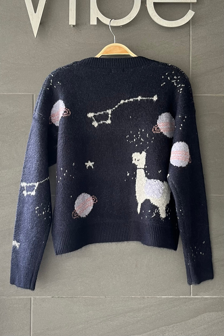 Dreamy Cosmic Llama Sweater (Black)