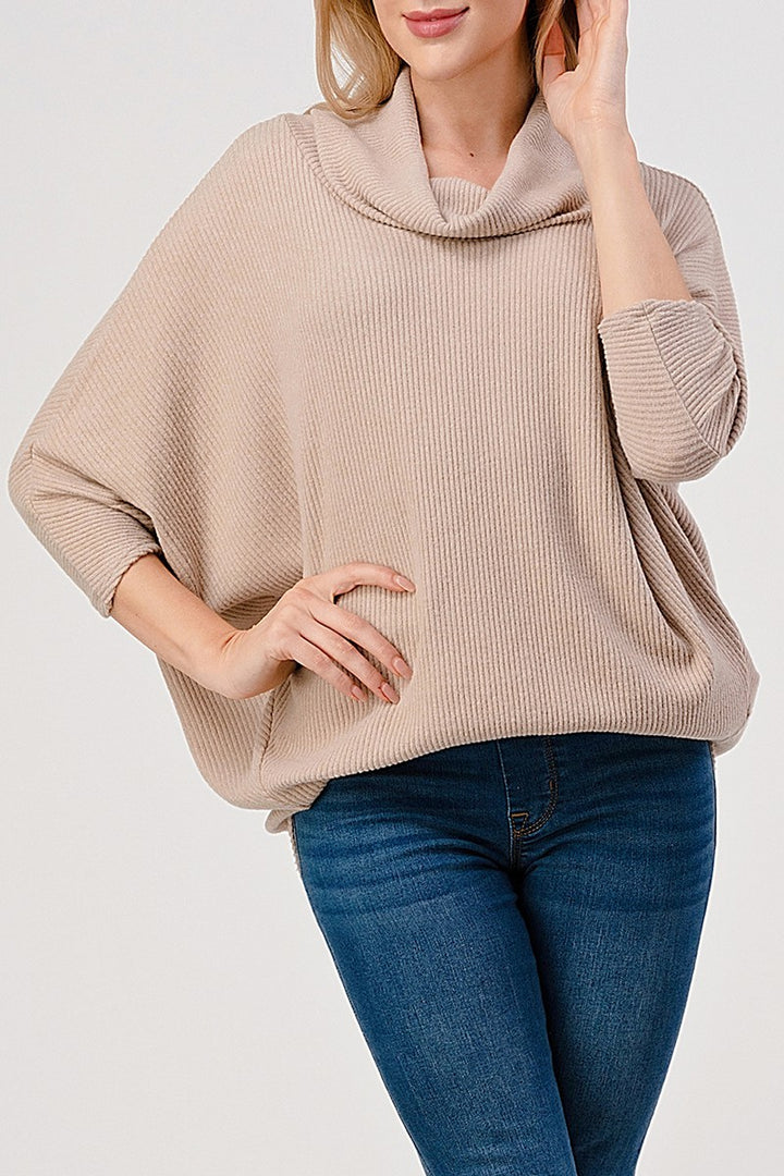 Natural Vibe Cowl Neck Sweater (Beige)