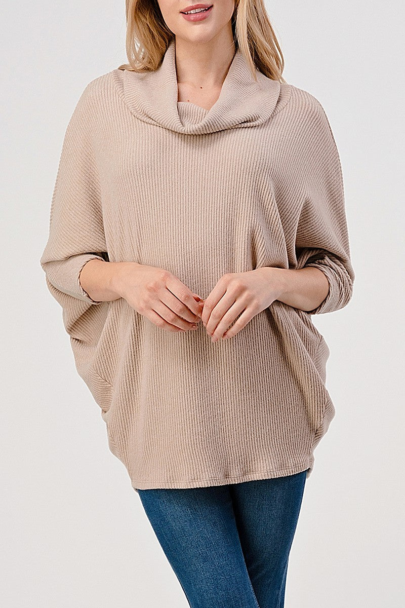 Natural Vibe Cowl Neck Sweater (Beige)