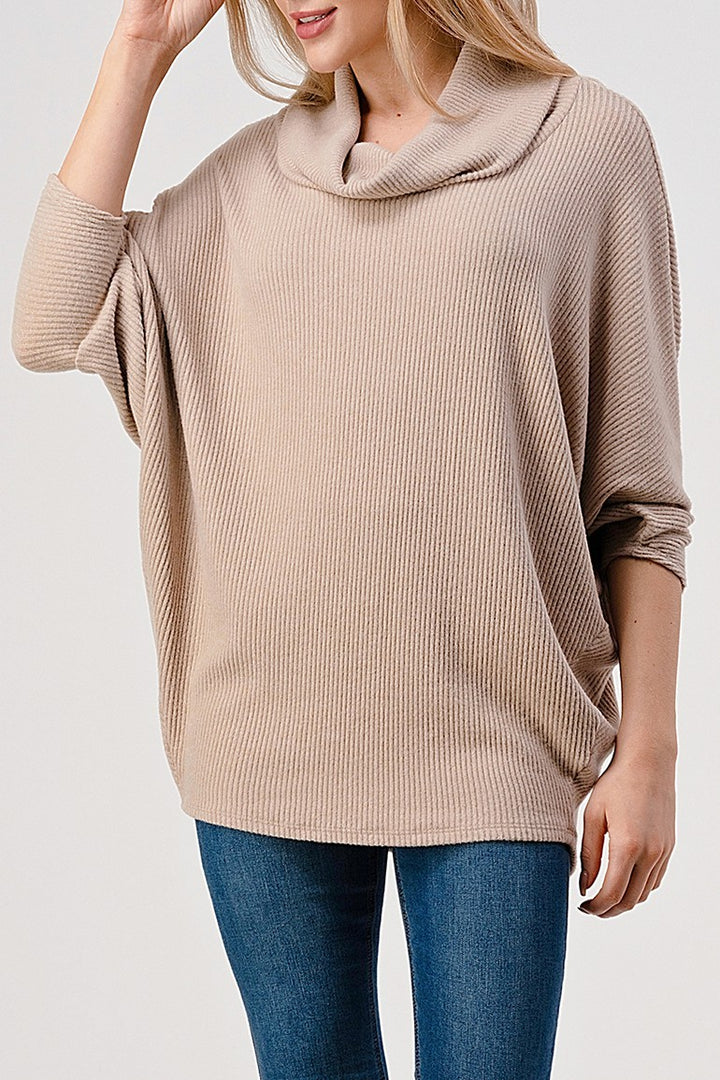 Natural Vibe Cowl Neck Sweater (Beige)